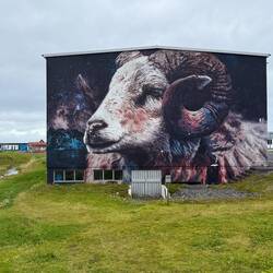Hellissandur, the street art capital of Iceland