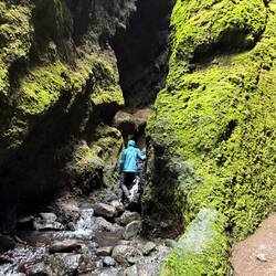 Making our way through the gorge
