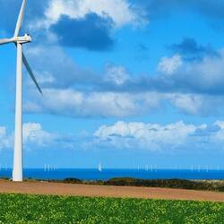 Die Windräder ins Meer gebaut....