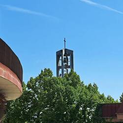Tra gli alberi, una mostruosità