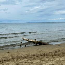 Heute sehr bewölkt, aber angeht für uns 😀