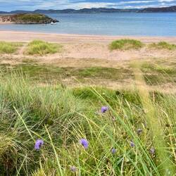 Hach so ein schönes Plätzchen