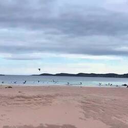 Morgenspaziergang 🤍