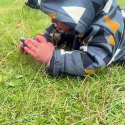 Lotti liebt es Gras zu pflücken😊