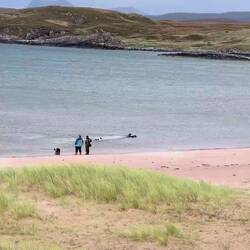 Die Hunde freuen sich 🐕☺️