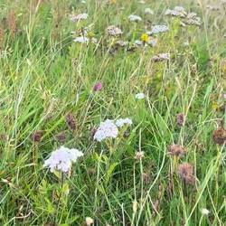 So ein schönes, friedliches Fleckchen Erde😇