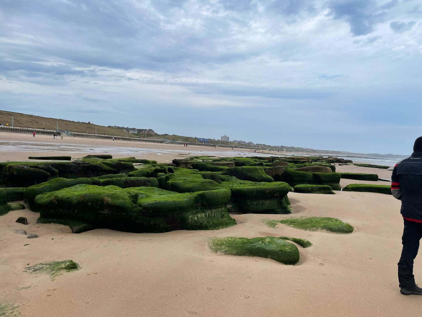 Der Strand von Whitley Bay