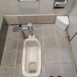 Und hockt auf dem Klo