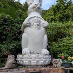 Ein Buddha-Hase 🤔