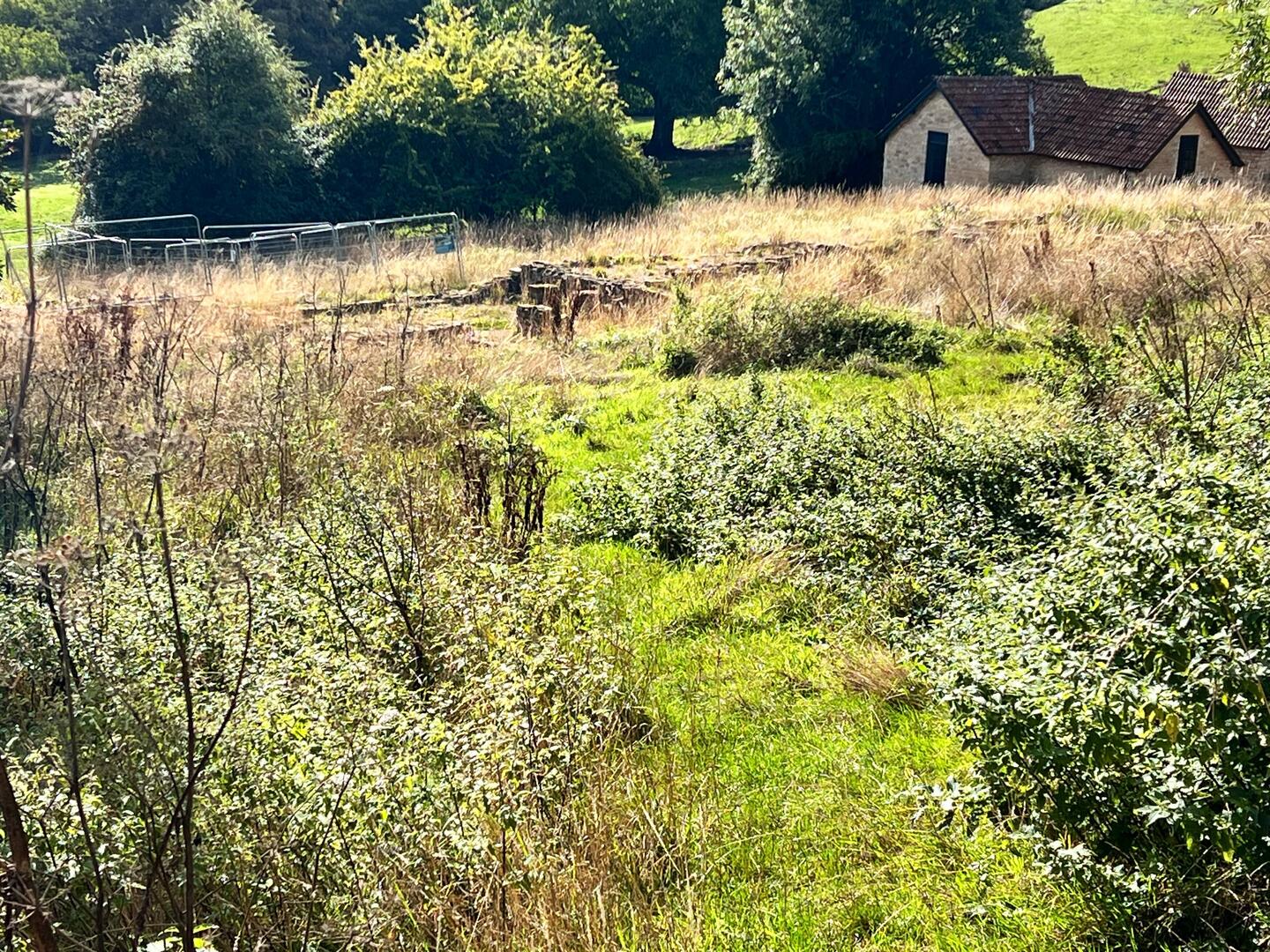 Remains of Roman villa