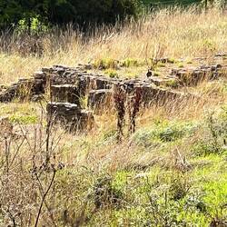 The foundations of Roman villa