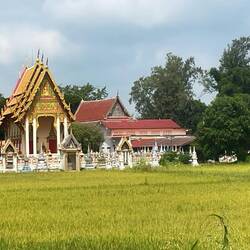 Nice temple
