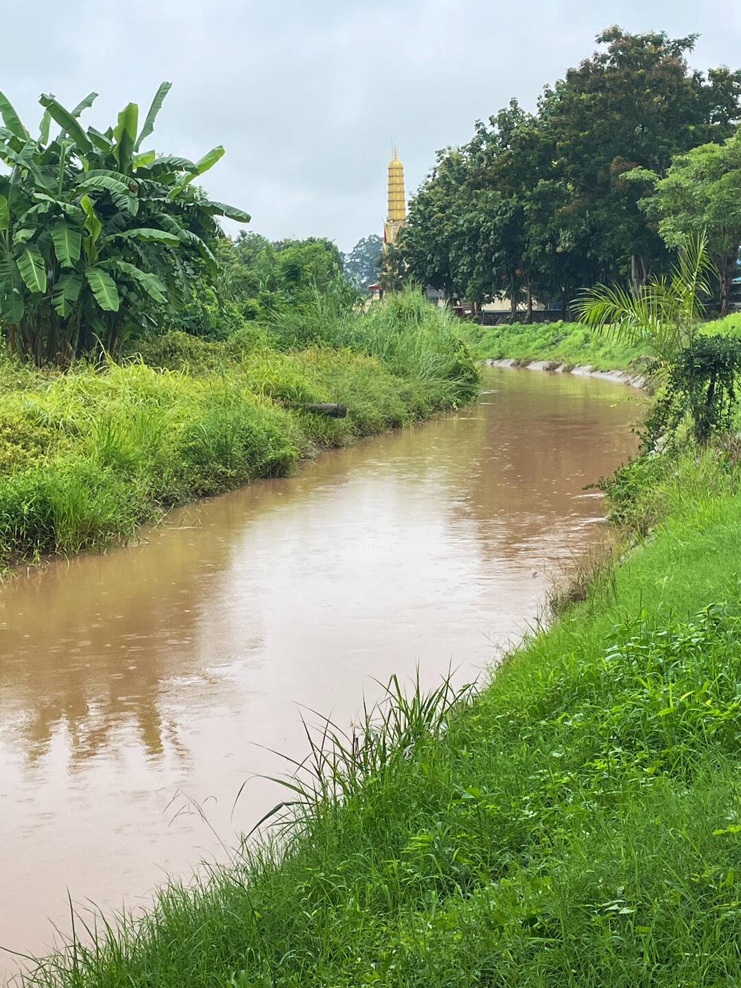 Yes those are raindrops hitting the canal