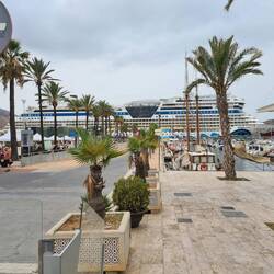 "Unsere" AIDA STELLA