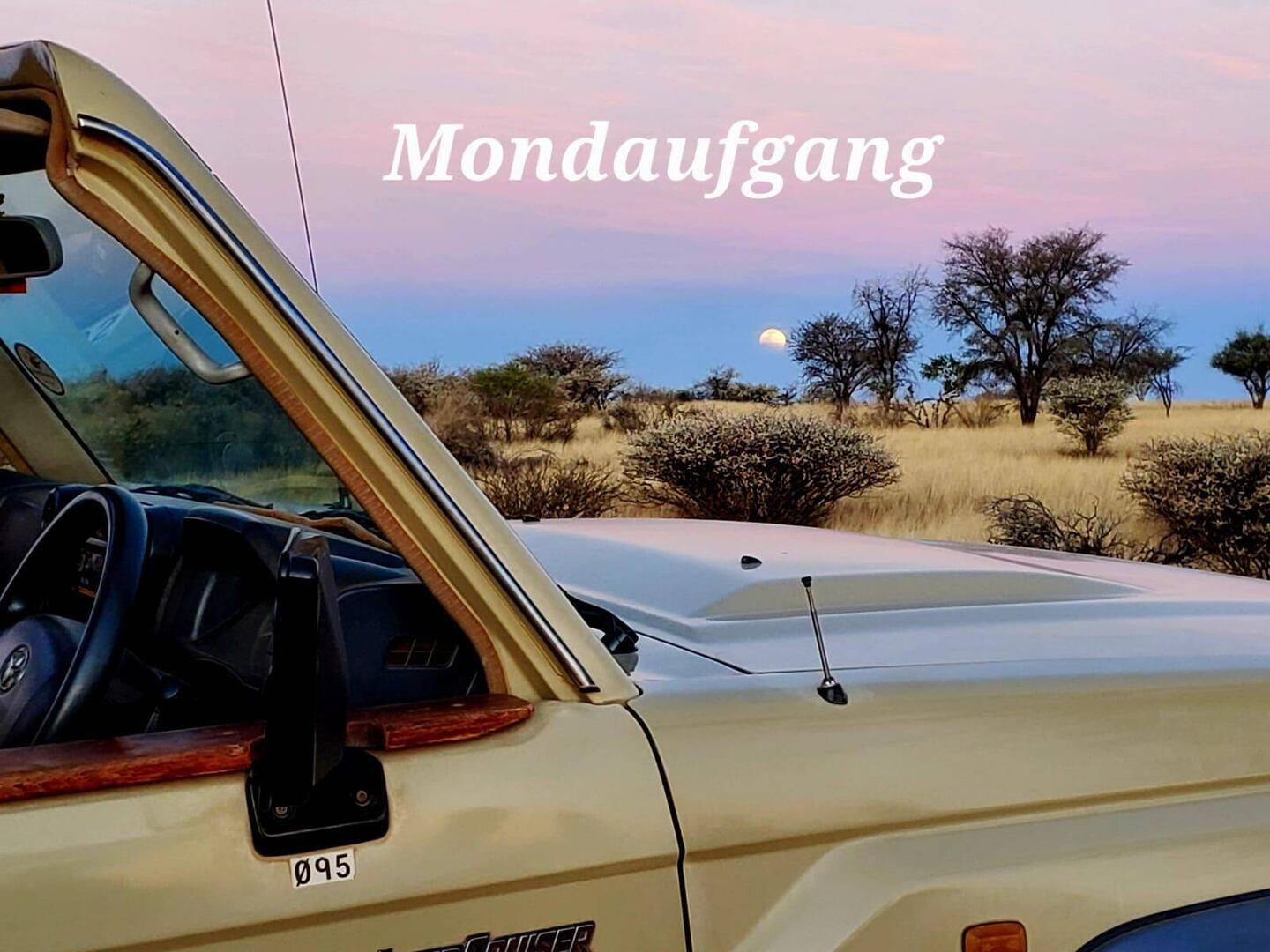 Mondfinsternis in der Kalahari