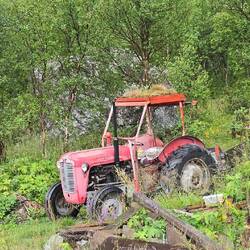 In puncto Gründach ist man hier schon weiter