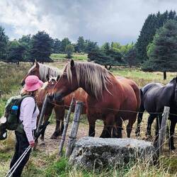 Jane loved the horses