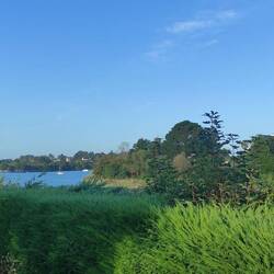 Blick über die Hecke - leider bei Ebbe 🤣