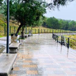 La Promenade muy bien hecha