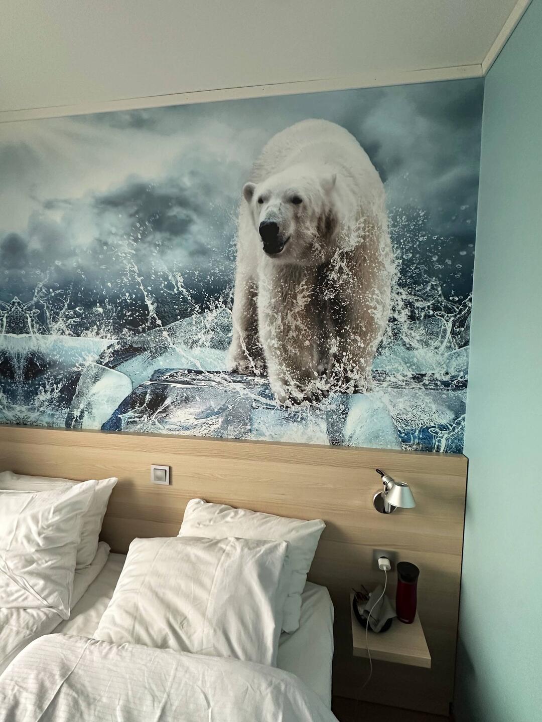 nur über meinem Bett in Tromsø, werde ich nicht sehen