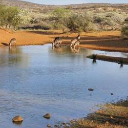 Wunderschön gelegene Wasserstelle.