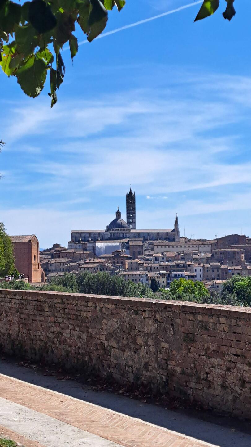 View from the fortress