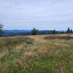 Auf dem Kahlen Asten.