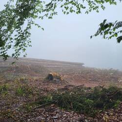 ....leider nicht überall.