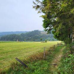 Der Rothaarsteig im Regen.