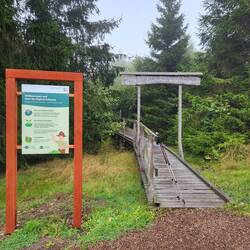 Der Kyrill-Pfad bei Schanze.