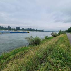 Den haben wir gestern schon gesehen. Dahinter die Brücke in Bonn