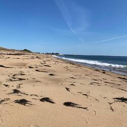 Heute war der einzige 1,6 km lange Sandstrand angesagt