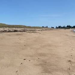 Laut Website: einer der längsten Sandstrände in Maine.