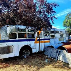 Der hat seine guten Zeiten auch hinter sich🤣