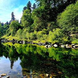 Romatisches Flüssli