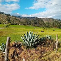 This landscape could not be seen at home!