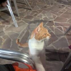 ... jetzt aber eher fordernd 🥰. Aber umsonst gebettelt