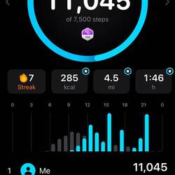 September 4th - 4.5 miles - Castle & Town