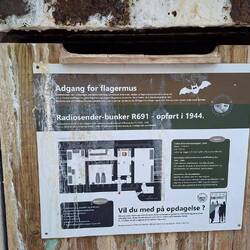 mit Fledermauseingang