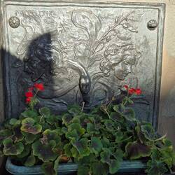 The witches well