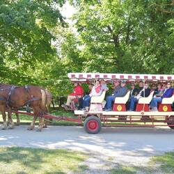 Took the horse drawn tour of island
