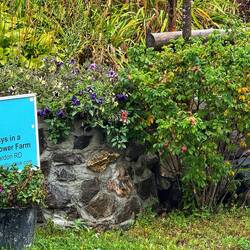 Würde man sich bei uns nicht trauen☝🏼