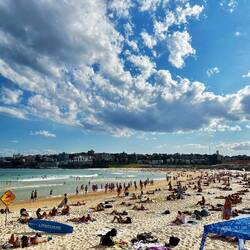 Bondi Beach