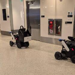 Once we got out, they returned on their own