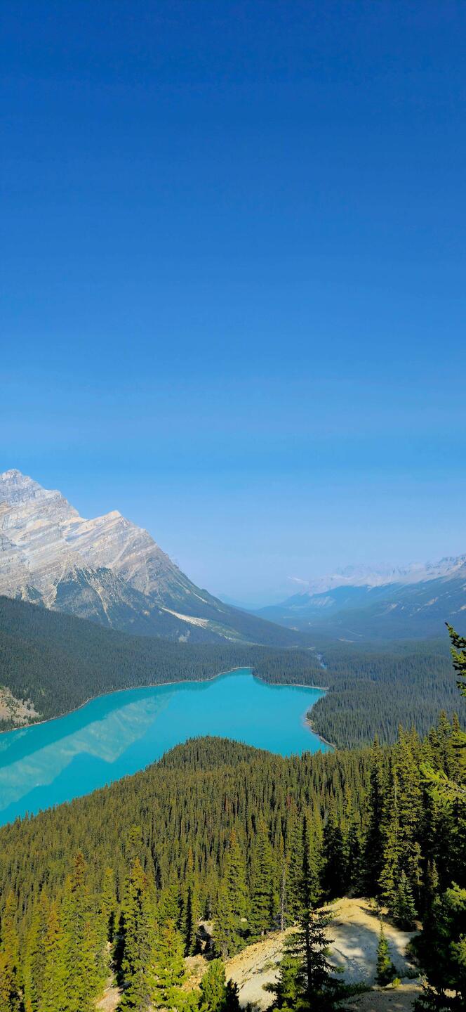 Peyto Lake