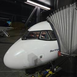 Dem Piloten bei der Arbeit zu schauen