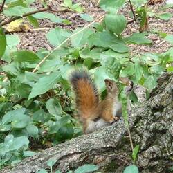 ....und wer schaut uns da beim picknicken zu 😲....