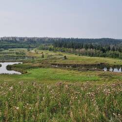 ....Park und in Hintergrund der Stadtrand von Calgary....