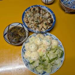 Unser Abendessen (Oktopus, Kartoffelbällchen, Kimchi, Salat)