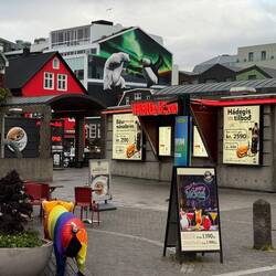 Awesome mural of a polar bear fighting a puffin